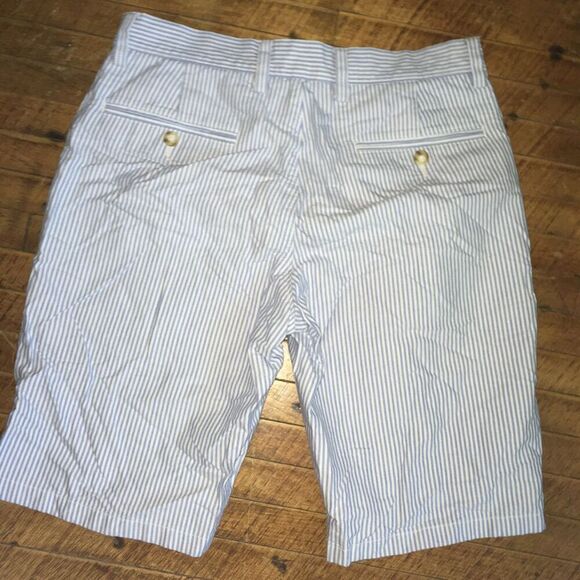 J Crew thin blue striped flat front 29 chino shorts - Picture 2 of 3